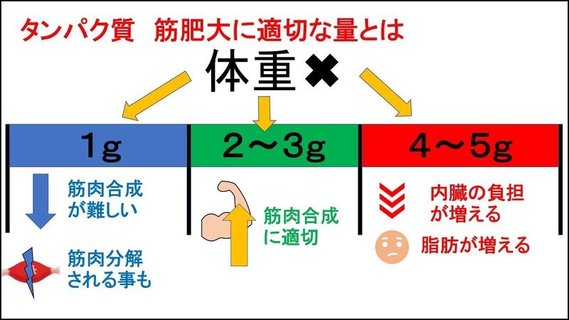 図解 筋トレ基礎知識 筋肉発達の仕組み フリート Note 図解 筋トレ基礎知識 筋肉発達の仕組み フリート Note