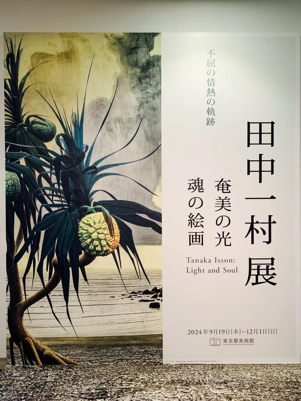 アートめぐり 田中一村展 奄美の光 魂の絵画｜もさ