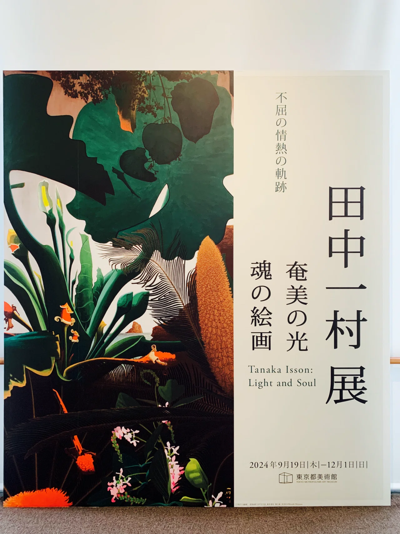 アートめぐり 田中一村展 奄美の光 魂の絵画｜もさ