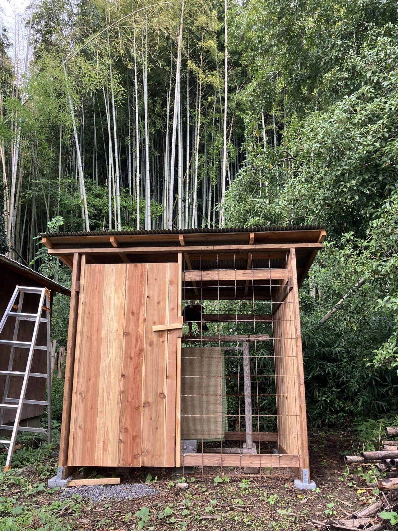 もう小屋は飽きた」DIY夫の鳥小屋ver.6の話｜おさかなとり
