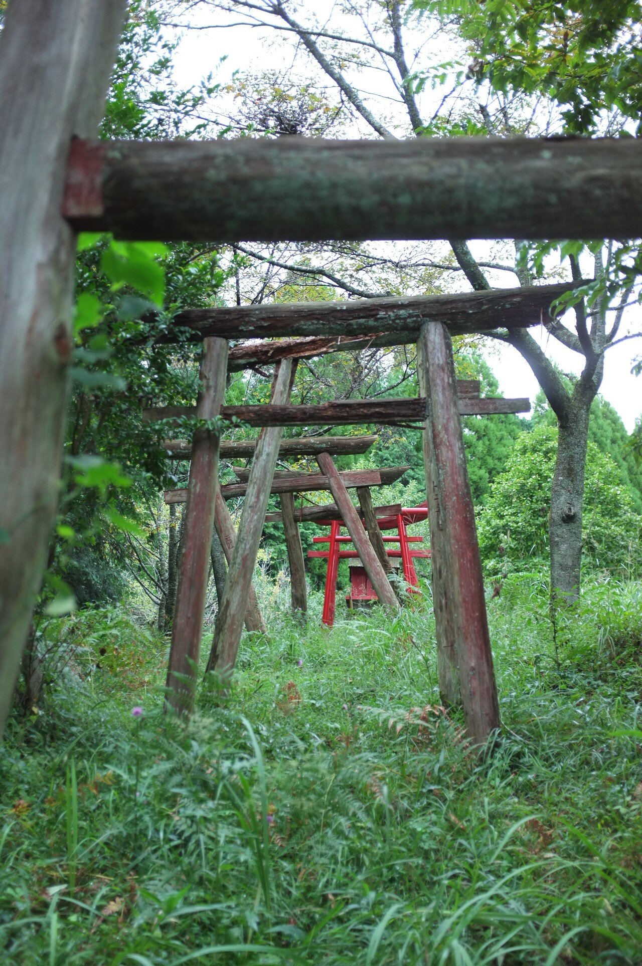FUJIFILM X100を持ち出して、異世界の入口っぽい謎の稲荷神社の鳥居を