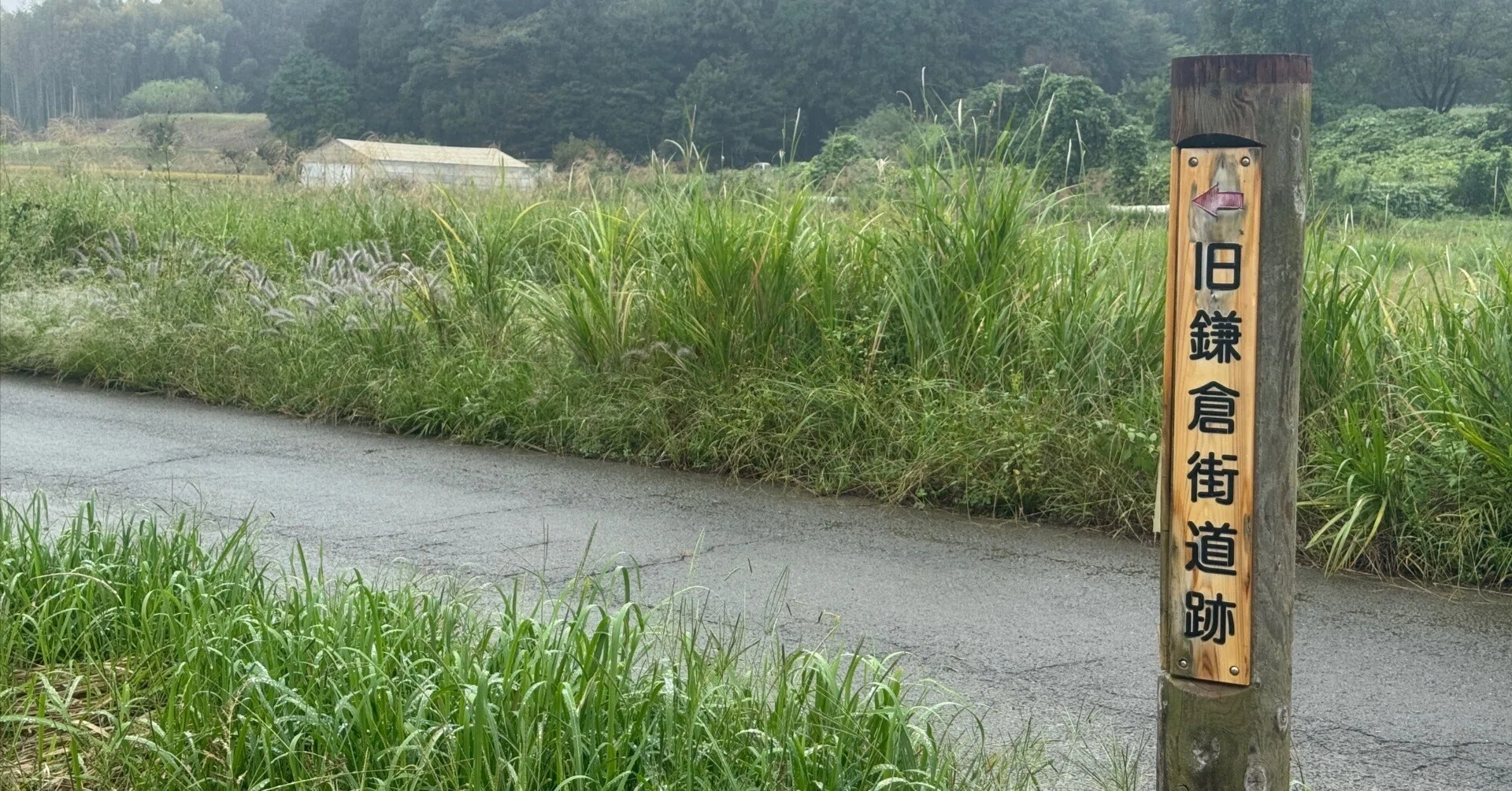 鎌倉街道 上道を走る 武蔵嵐山～男衾｜dash2