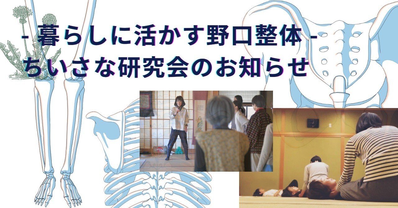 野口整体ちいさなzoom研究会のご案内｜晃天整体指導室 滝口晃帆