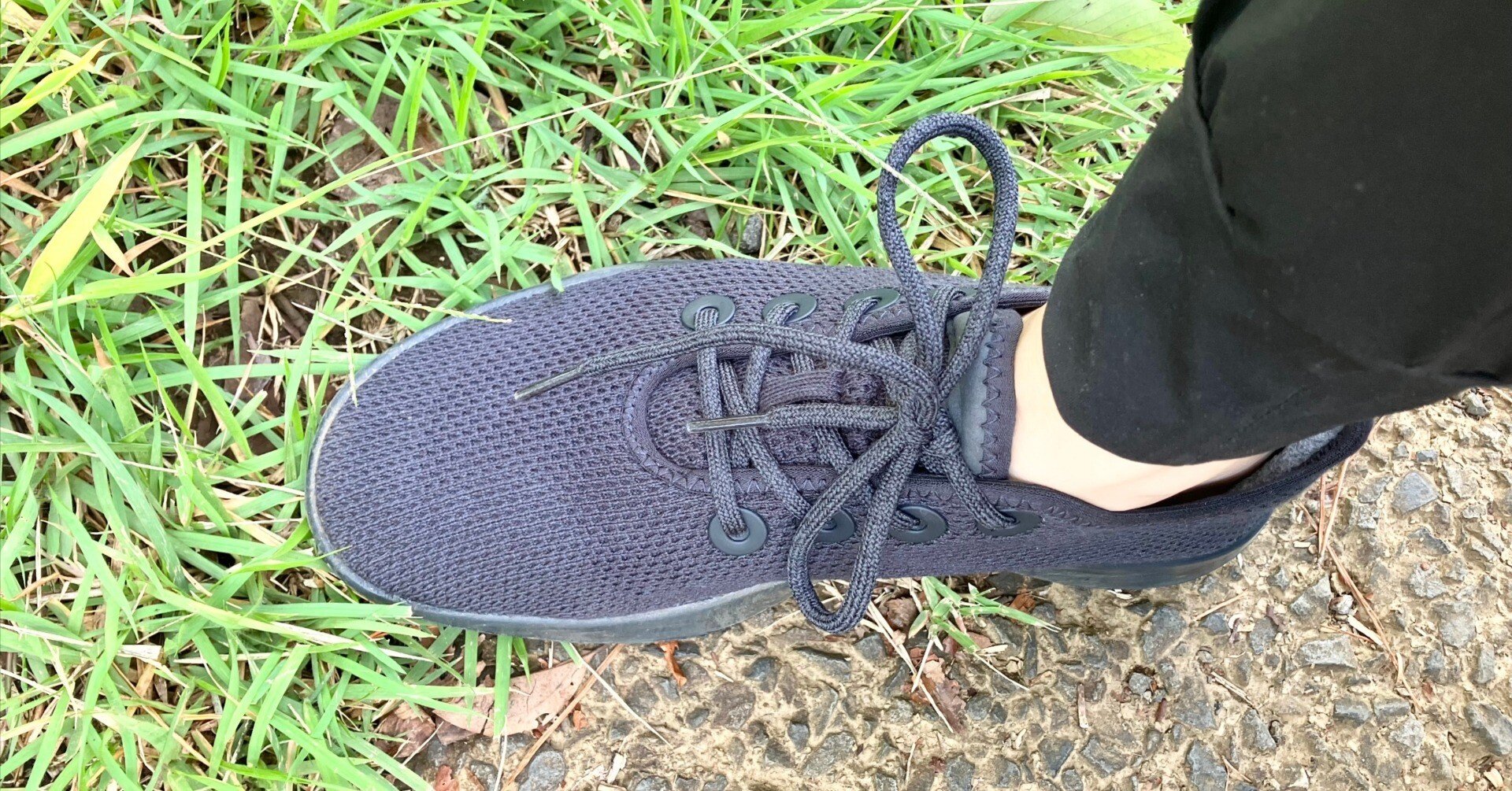 allbirds ウールランナー ミズル 話題のスニーカー、オールバーズで