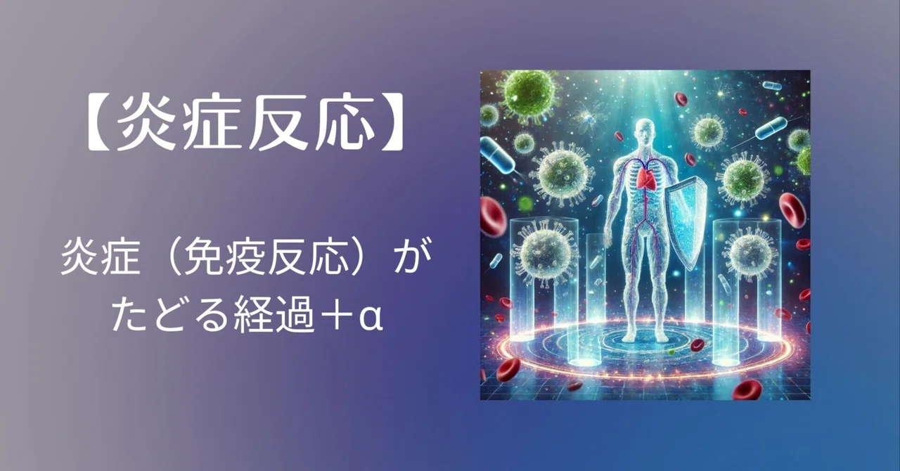 #64【炎症反応】炎症(免疫反応)がたどる経過+α|ATだーせん