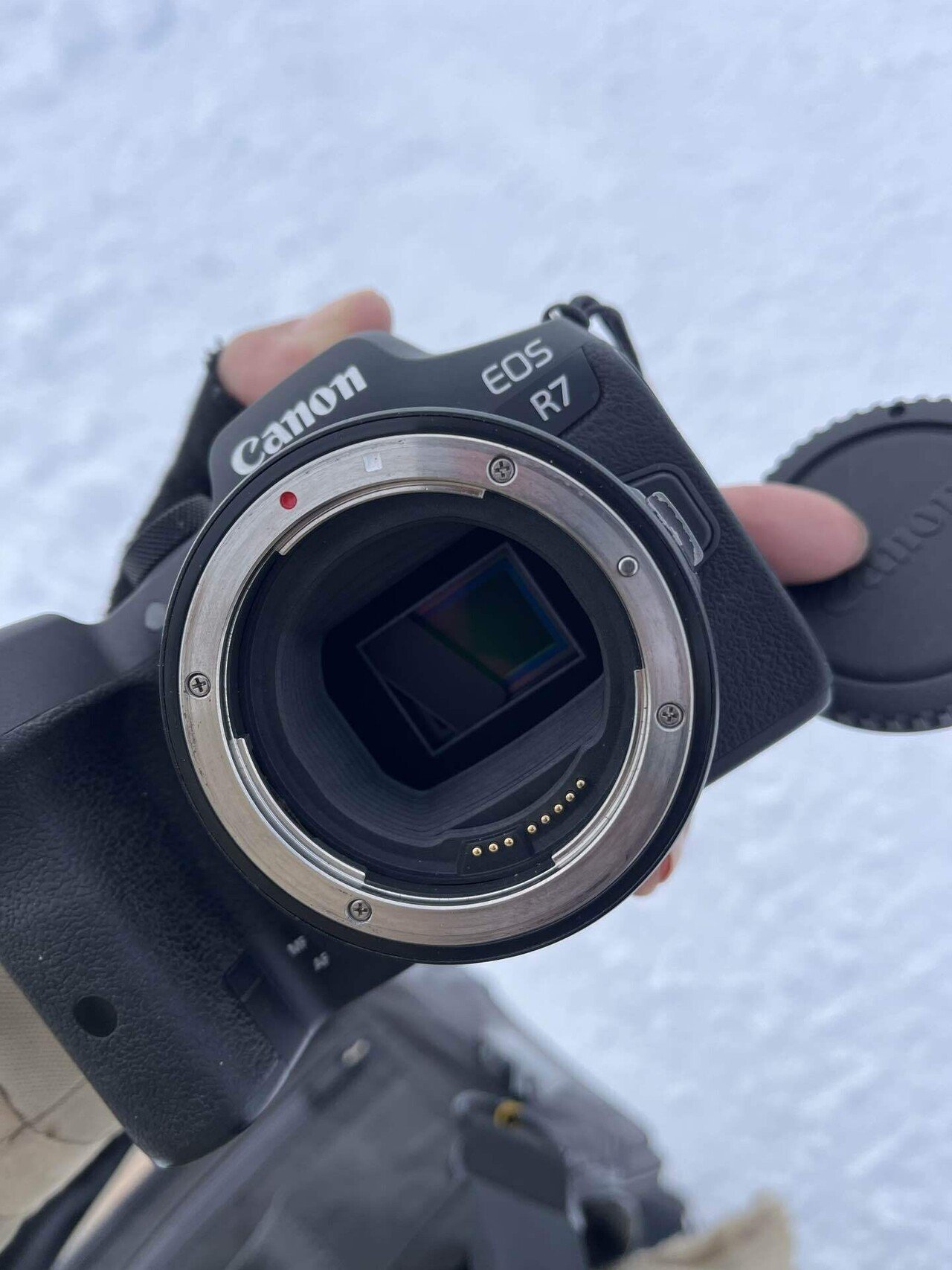 機材レビュー】Canon EOS R7を2年使い倒してわかったこと|吊るし柿 機材レビュー】Canon EOS R7を2年使い倒してわかったこと|吊るし柿