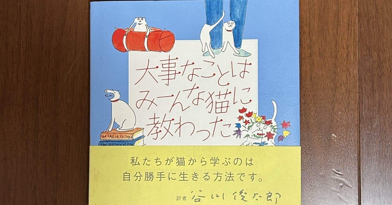 本の感想「だいじなことはみーんな猫に教わった」｜ヨリ子
