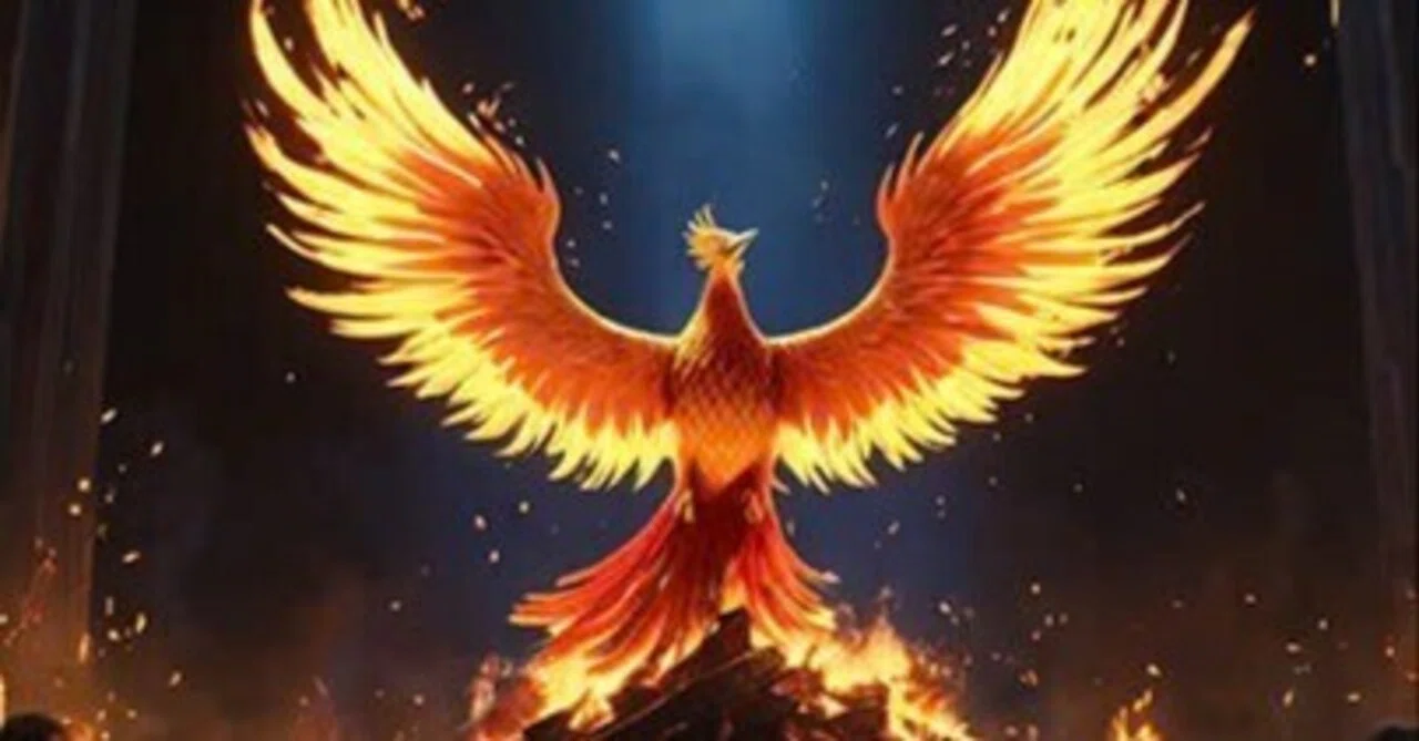 The Phoenix Fire is waiting for rebirth-day｜ミン