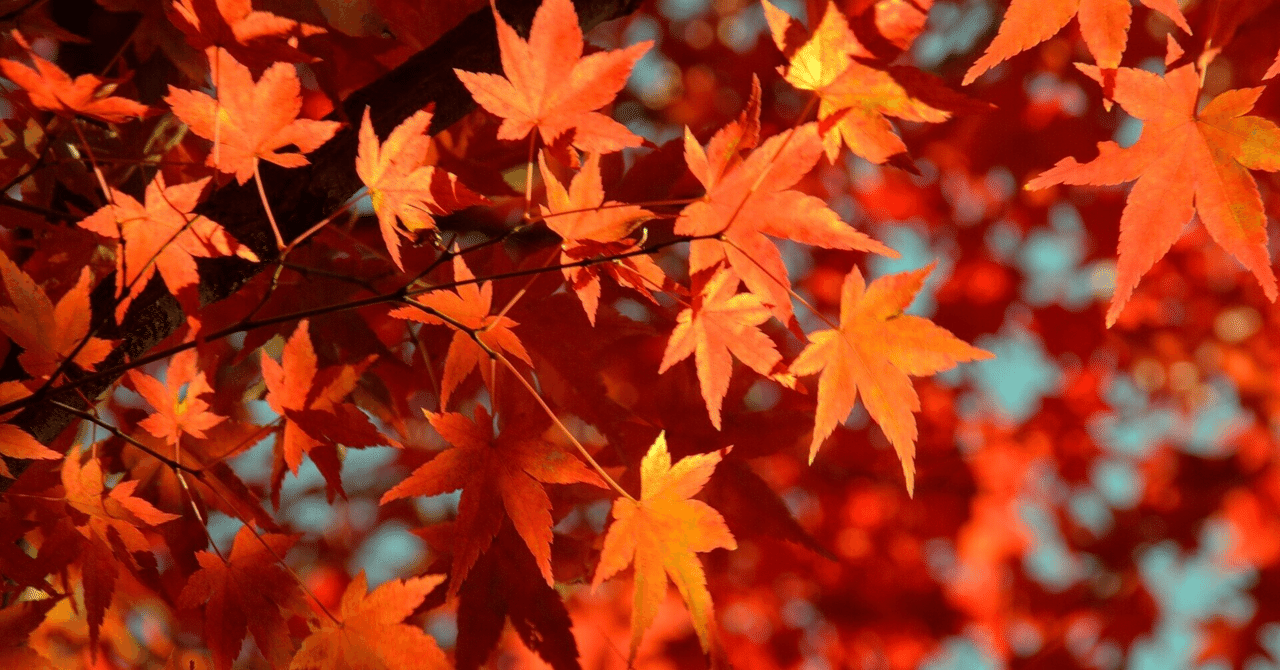 千秋　thoudand autumns　タイ語 rectangle_large_type_2_bdbadbf