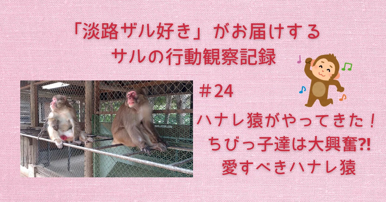 24 ハナレ猿がやってきた！ちびっ子達は大興奮⁈ 愛すべきハナレ猿｜sora.11
