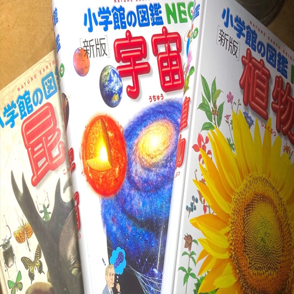 愛読書 『小学館の図鑑 NEO』｜RAMUNOS