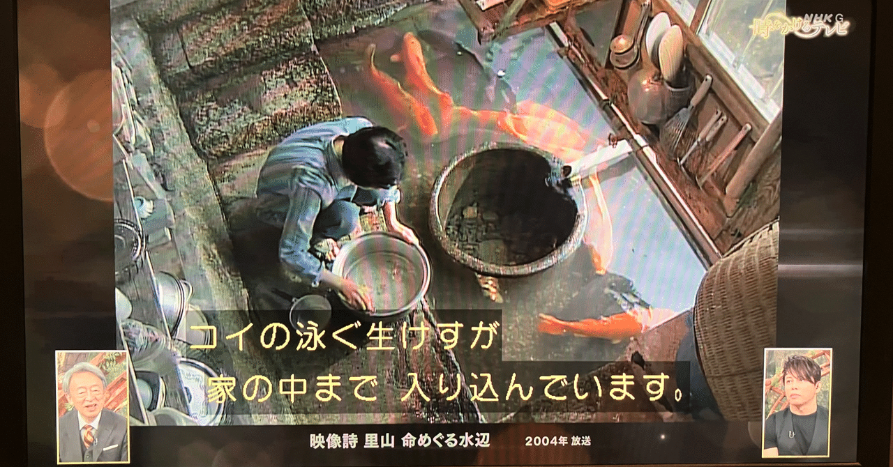 Amazon.co.jp: NHKスペシャル 映像詩 里山II 命めぐる水辺 [Blu