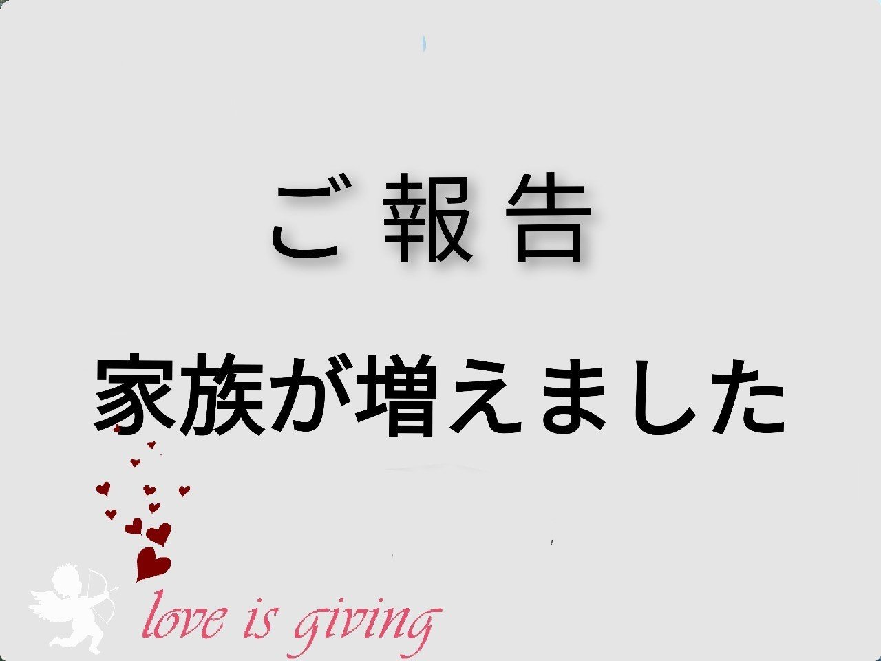 ご報告 家族が増えました はるき Note ご報告 家族が増えました はるき Note