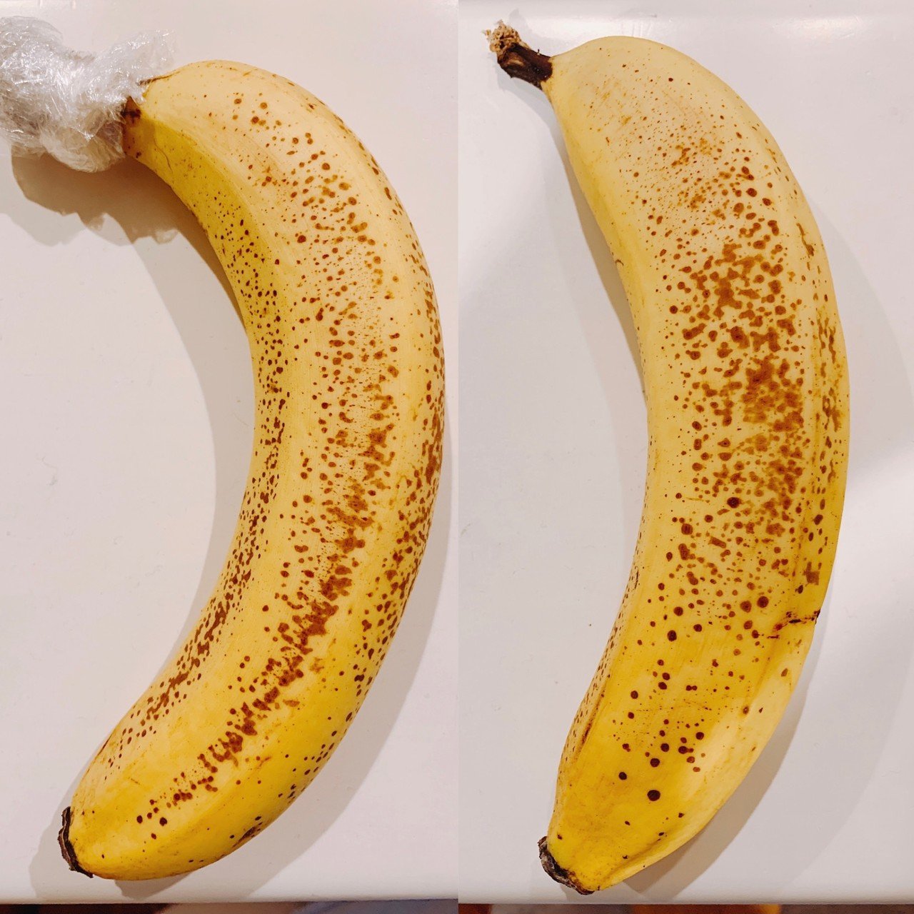 大人の自由研究 話題の バナナが長持ちする方法 を試してみた結果 いなつち 稲田智 Note