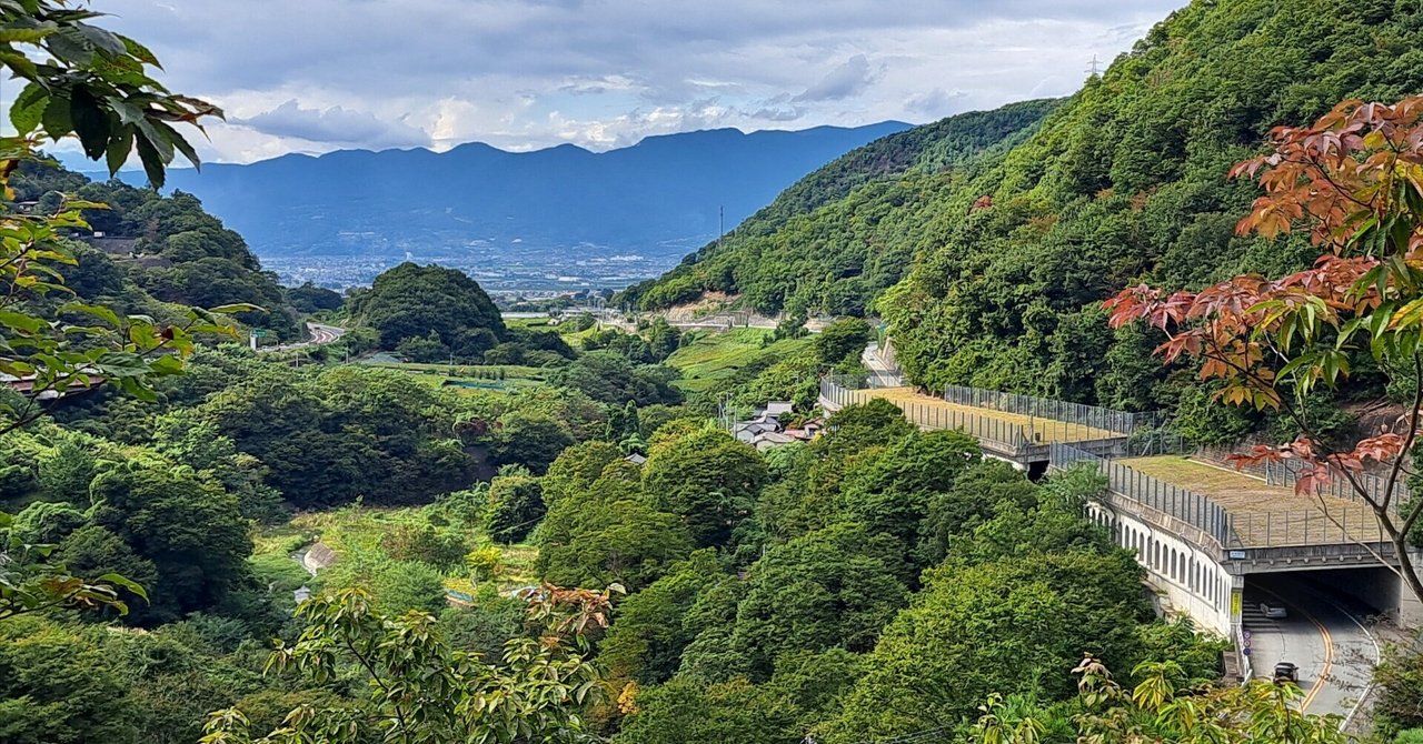 最も 割引 旧甲州街道ウォーク㉖ 鶴瀬宿→勝沼宿｜ばーど 和書