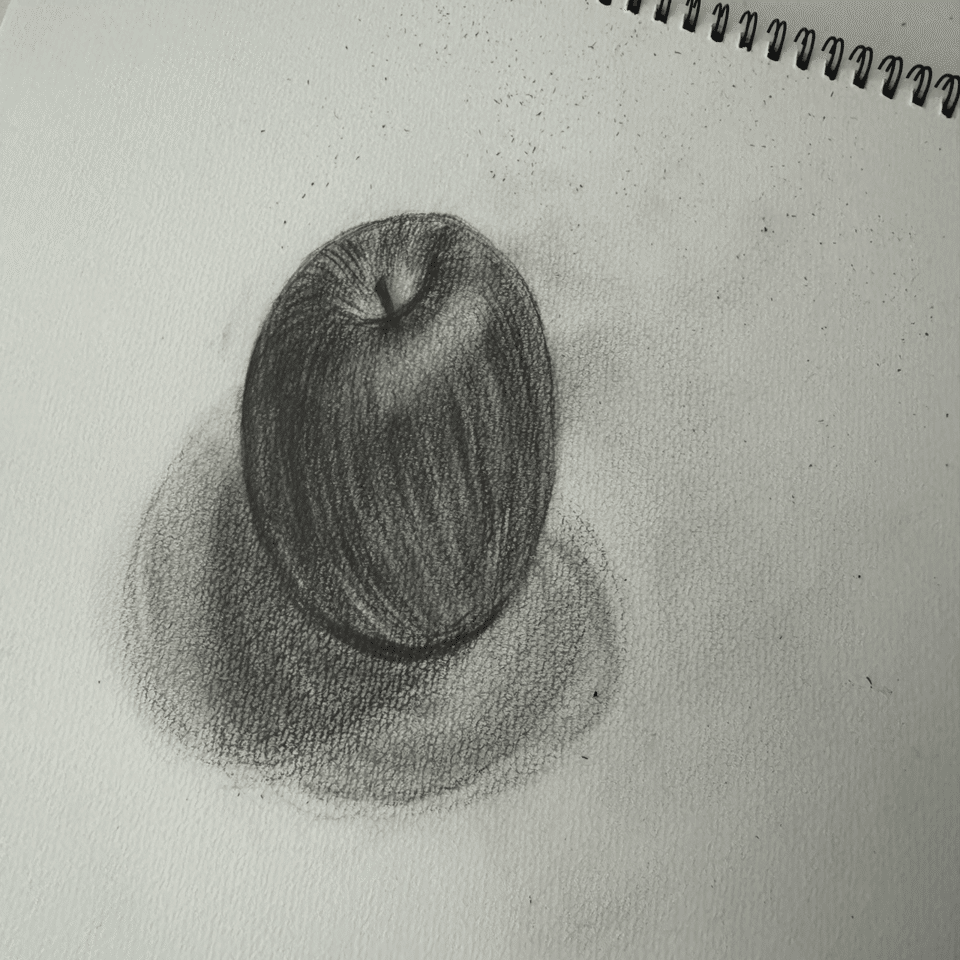 デッサン10日目にして、8Bの鉛筆を導入した | DAY10｜小野寺美穂