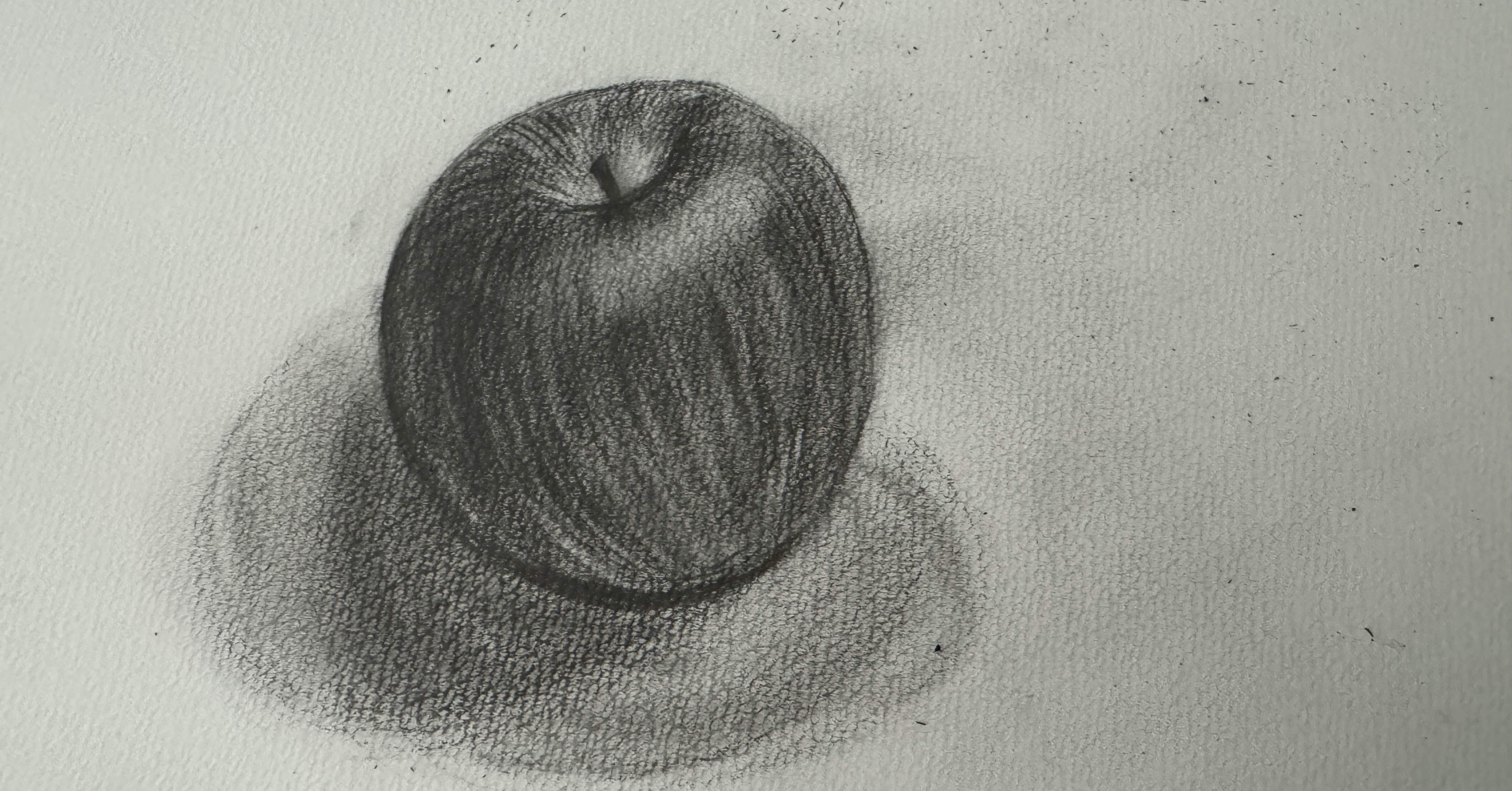 デッサン10日目にして、8Bの鉛筆を導入した | DAY10｜小野寺美穂