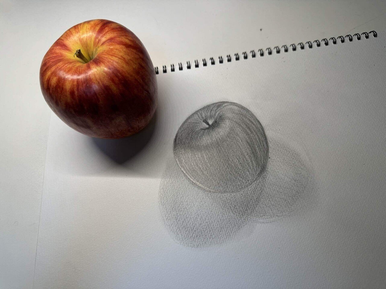 デッサン10日目にして、8Bの鉛筆を導入した | DAY10｜小野寺美穂