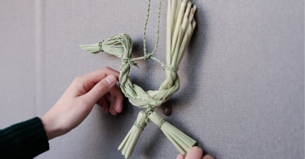 神が宿る草『真菰』の浄化パワーがすごい！｜龍神くくりの姫巫女🐉神尾茉音