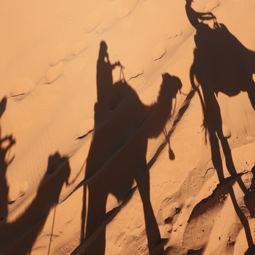 モロッコD5-1:サハラ砂漠ツアー】 ツアーで行けるのは砂漠の入り口｜Yusuke（40代サバティカル旅行記）