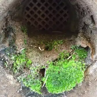 羽島 貝