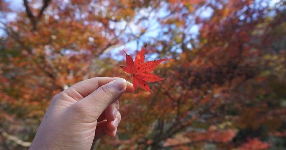 秋っぽい写真 集めました みんなのフォトギャラリー投稿用 Hiromi フォトエッセイ Note