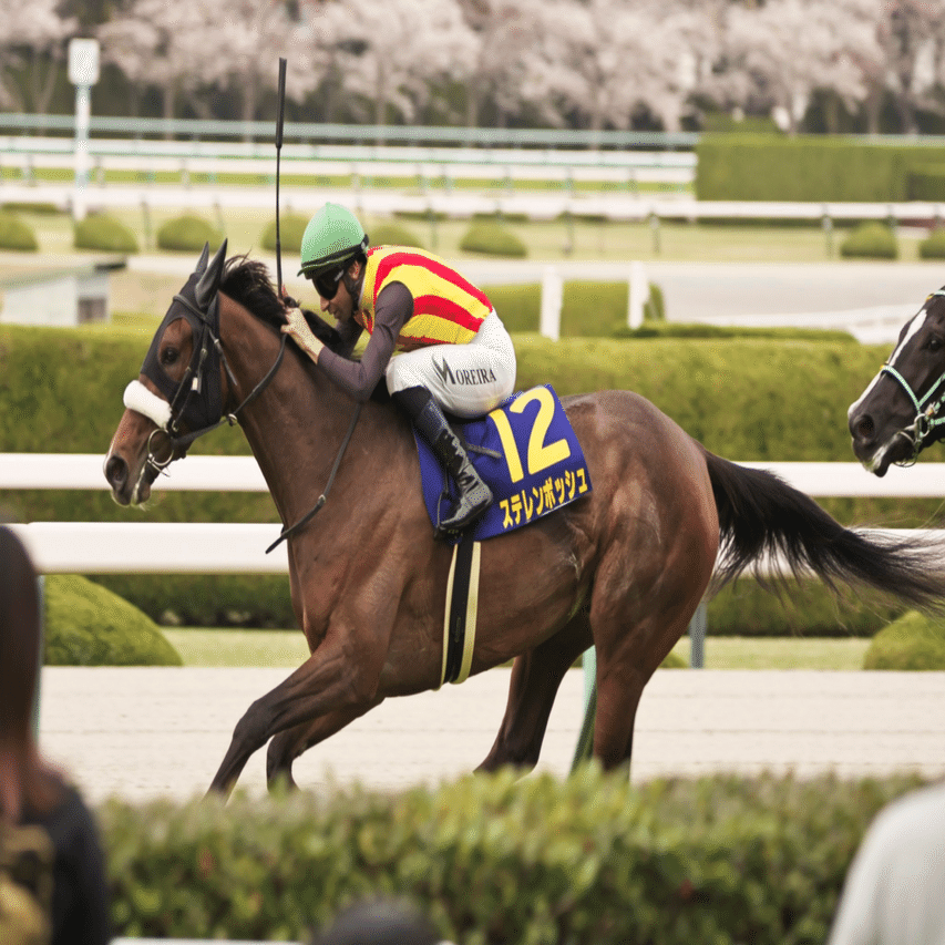 まねき馬 レインボーカード 767 第7回秋華賞 15枚限定 まねき馬