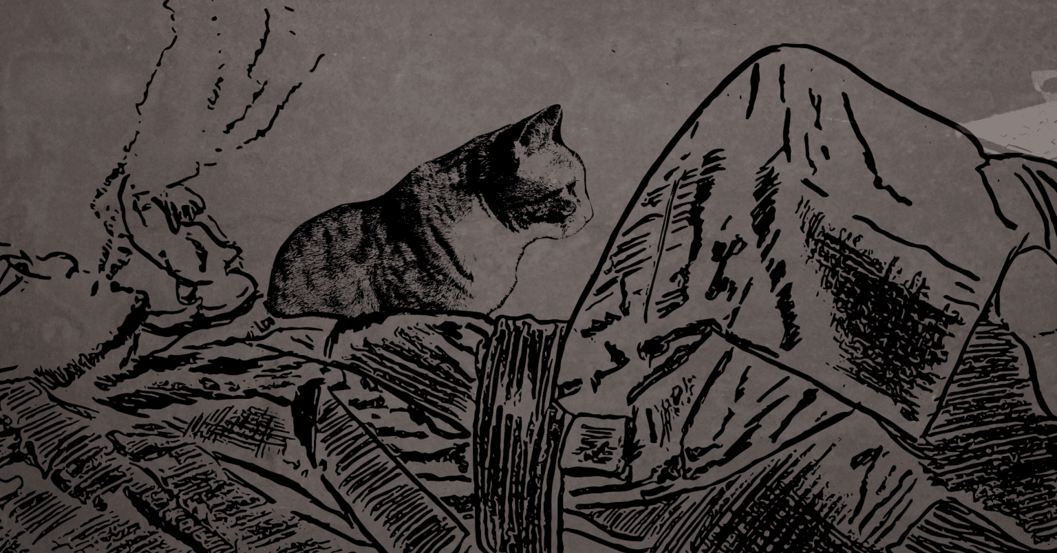 夏目漱石『こころ』「精神的に向上心のないものは馬鹿だ」の意味が  