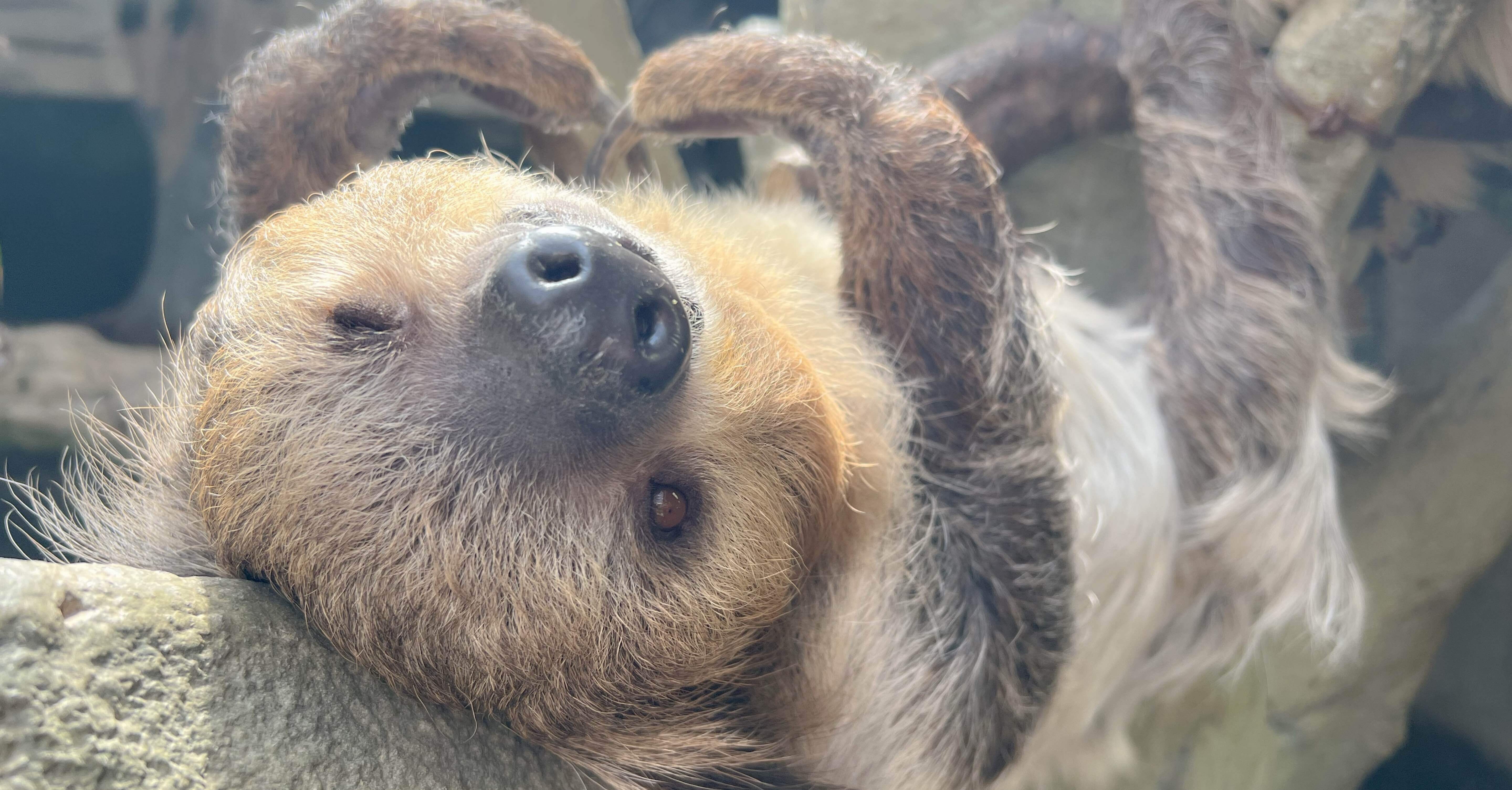 f1ff1f26f847e6cd7695becefbe12f