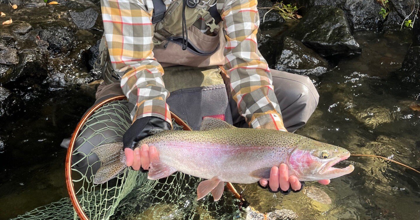忙しい時間の合間に”支笏湖でネイティブトラウト”！53雄ニジマス