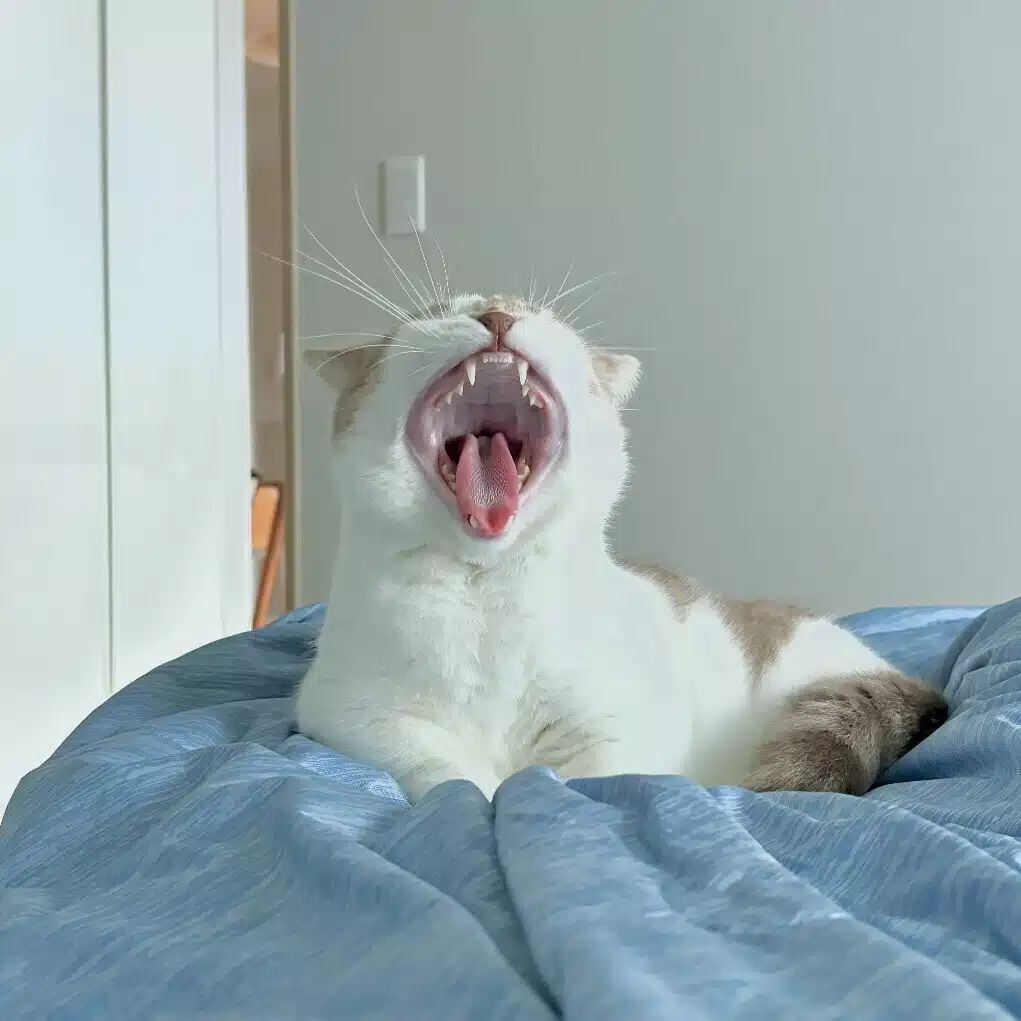 行田