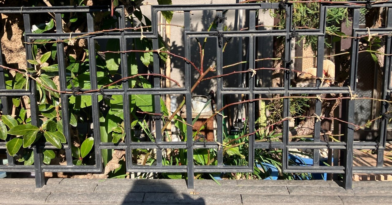 rectangle_large_type_2_4a33196