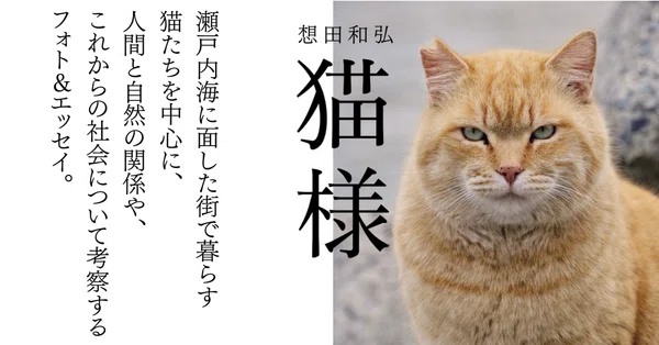 Cat Books／猫本｜HB ホーム社文芸図書WEBサイト