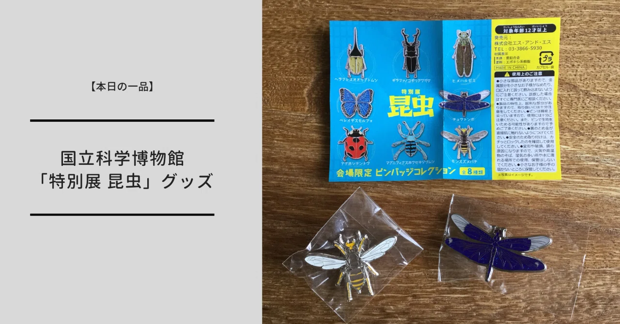 本日の一品】昆虫展のミュージアムグッズを少しだけご紹介！｜大澤夏美