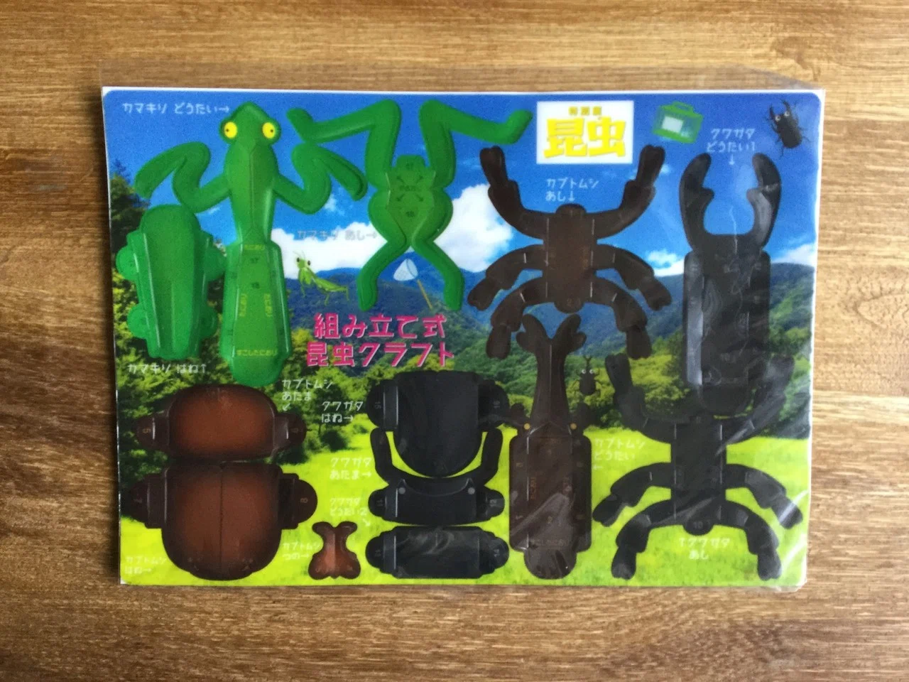 本日の一品】昆虫展のミュージアムグッズを少しだけご紹介！｜大澤夏美