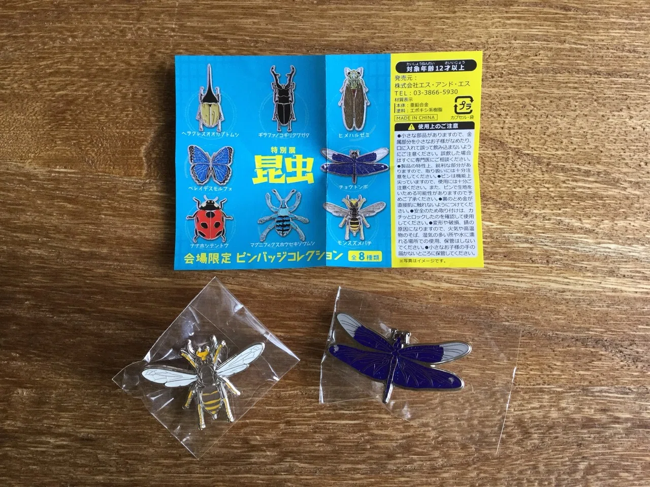本日の一品】昆虫展のミュージアムグッズを少しだけご紹介！｜大澤夏美