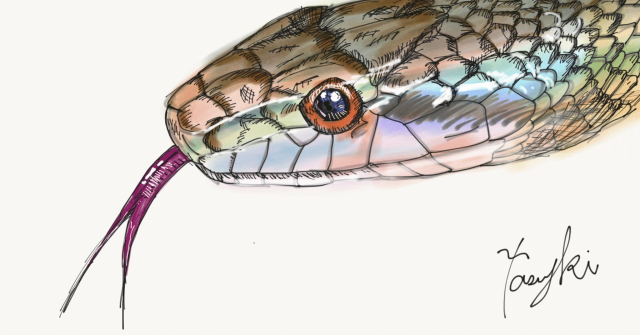 『蛇にピアス』を読む──それは何の物語なのだろうか｜@Globe🌏蓮実 里菜