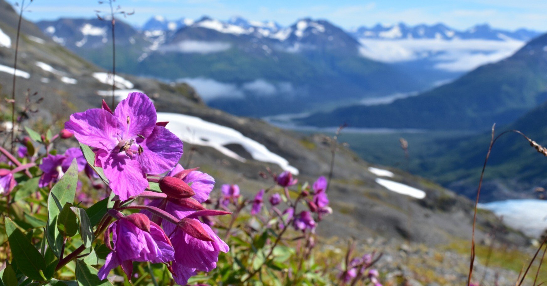 a8ae625224aa42cb2d85839421809a