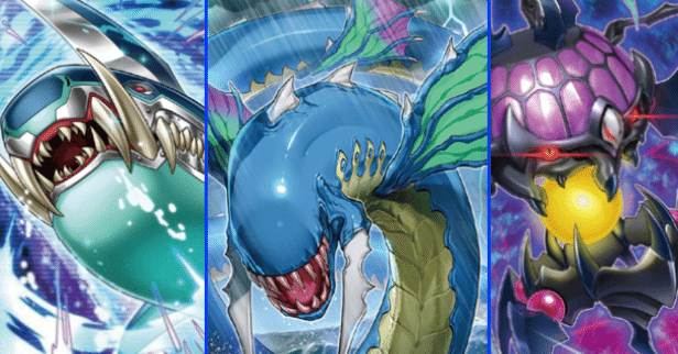 遊戯王】 「海・鮫・水・害」すなわち…海シャァァァク！！｜リクソン十