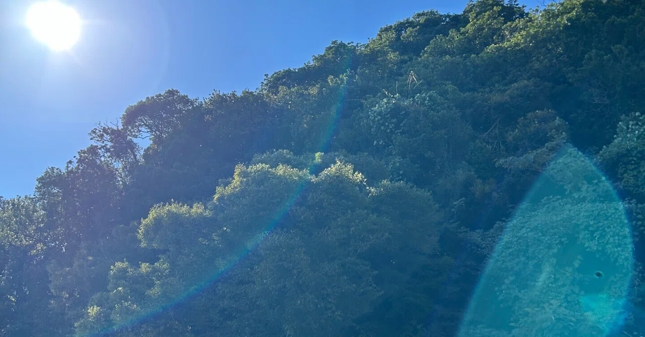 竹生島、神を斎く島｜ぴぴん