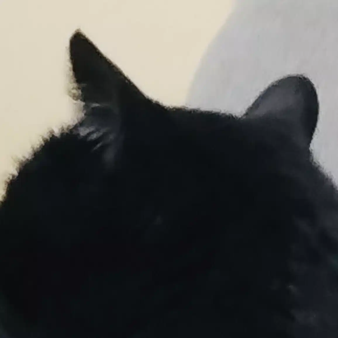nandante