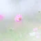 みきあ｜mindfuldays