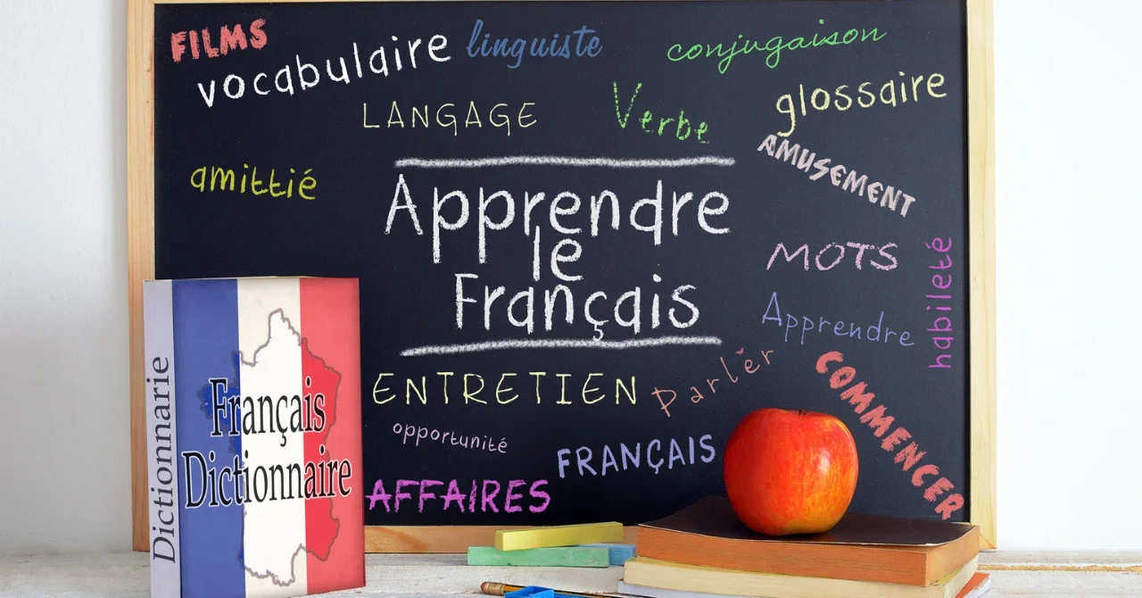 The Study Methods That Built the Foundation for My French Proficiency ...