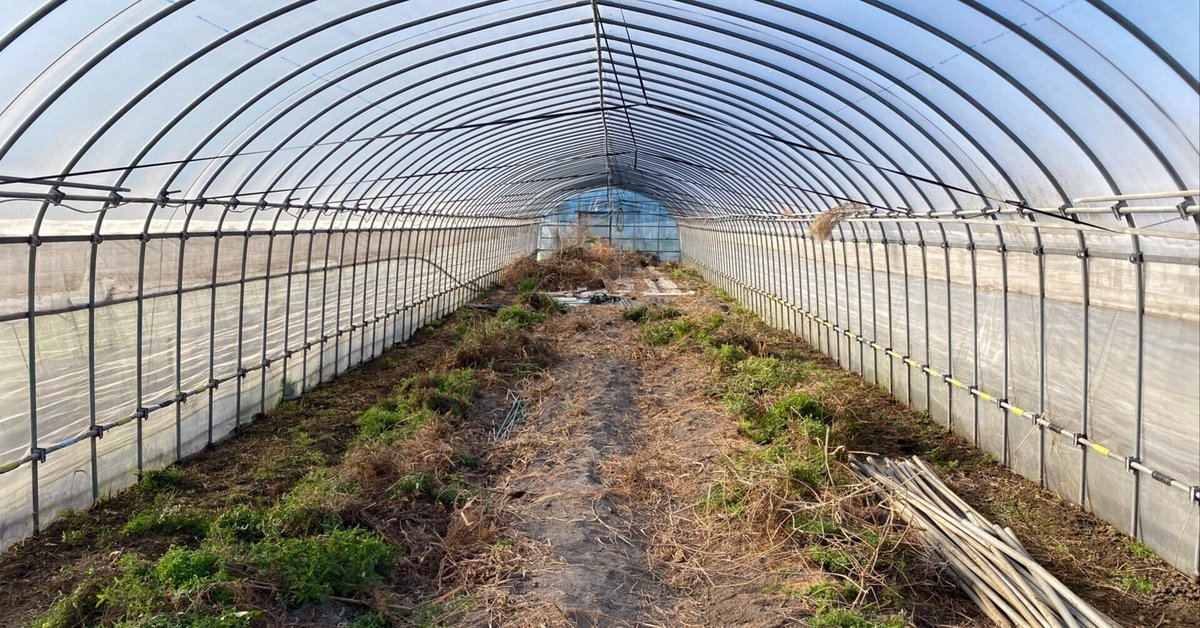 耕作放棄のビニールハウスを再生する！ 来春の植え付けを目指して 