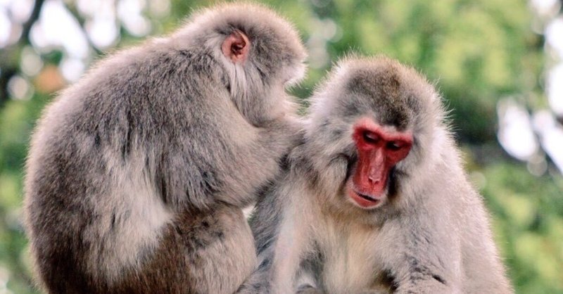 万能人になりたい浪人生 セイ note