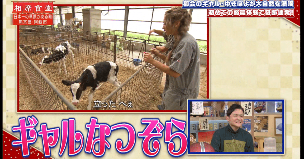 相席食堂 ゆきぽよ 友近 2019年10月30日 11月6日 tver配信分感想 なおや note