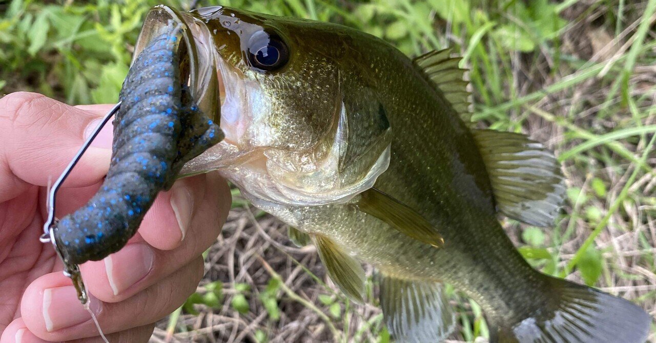 チャターの竿｜U［Blind Alley］