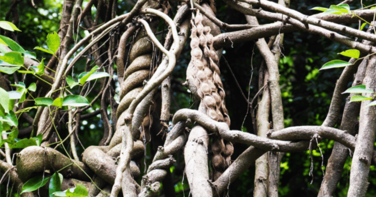 契約後でも安心！クーリングオフの活用法｜埼玉県/遺言書/公正証書/各種許認可 行政書士濱口事務所