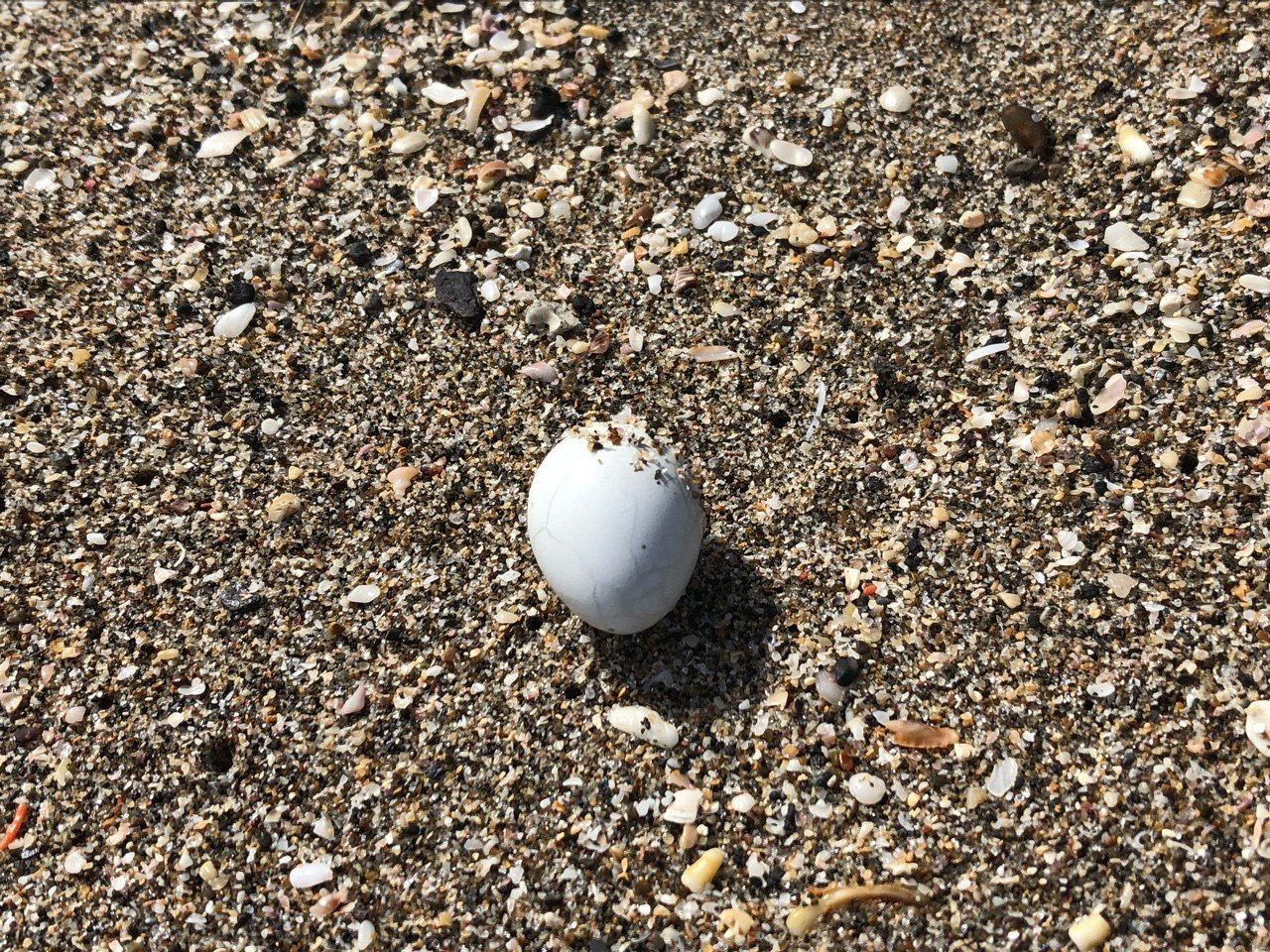 コンアルミは8年続けたtwitterを辞めたあと何をしていたのか なはぶき Note