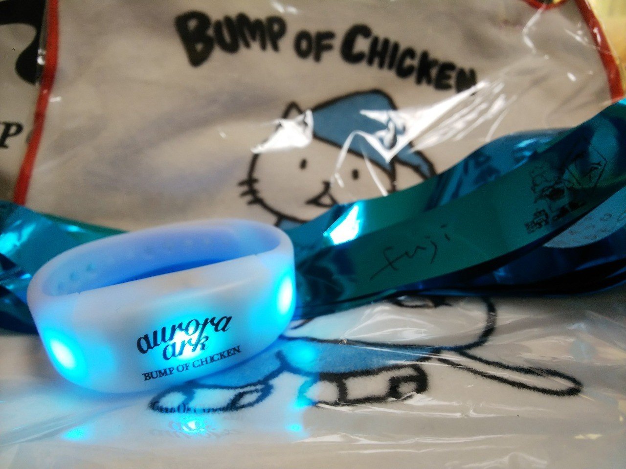 光と音の海の中で私の一等星に再び出会った話 Bump Of Chicken Tour 19 Aurora Ark 11 3 瀬津 Note 光と音の海の中で私の一等星に再び出会った話 Bump Of Chicken Tour 19 Aurora Ark 11 3 瀬津 Note